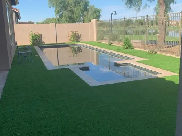 Palo Verde Gallery 1