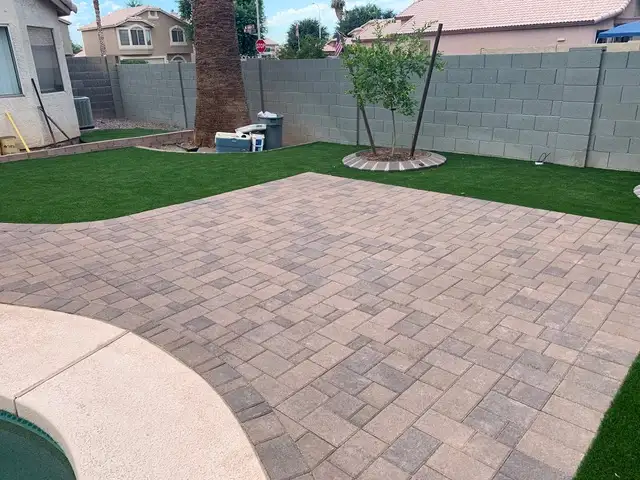Palo Verde Gallery 3
