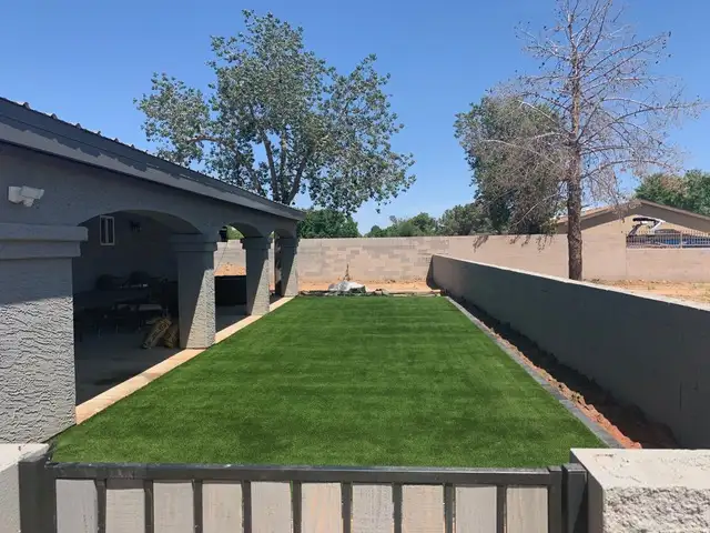 Palo Verde Gallery 4
