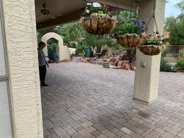 Ocotillo Gallery 1